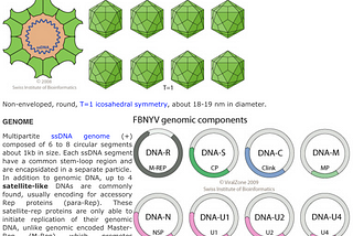 Overstating results, eLife, and “distributed viruses”