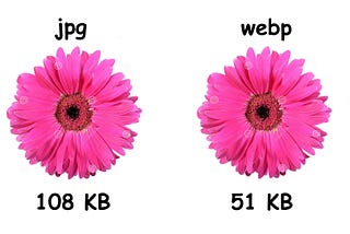 The difference in size between the same image in JPG and WebP formats.