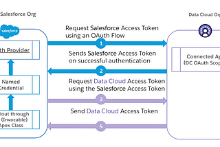 Connect to the native Salesforce Data Cloud API through Named Credentials using a custom Auth…