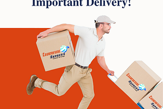 Courier and Cargo Services