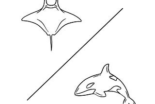 drawn outlines of a manta ray and an orca separated by a straight line