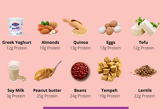 What are the best Vegetarian Proteins?