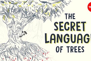 The secret language of trees