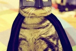 Criatividade, Gatinhos e Batman