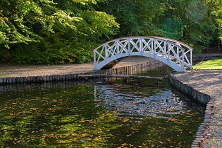 a small footbridge over a stream in a park