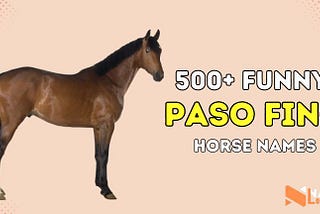 200+ Unique Names for Paso Fino Horse
