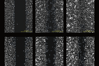 Image Processing with scikit-image