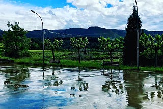 Sota la pluja