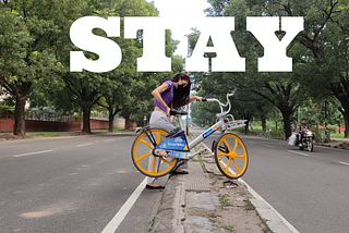 Stay