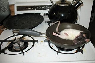 The Day I Cooked A Rat