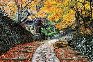 Autumn Cottage, Sakura, Japan