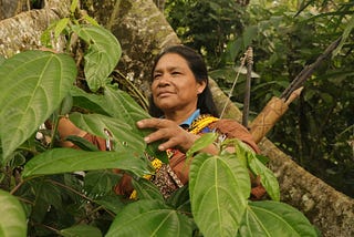 Sabiduría indígena para enfrentar la pandemia en Perú