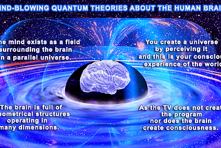 Human Brain — a Multidimensional Quantum Orchestra?