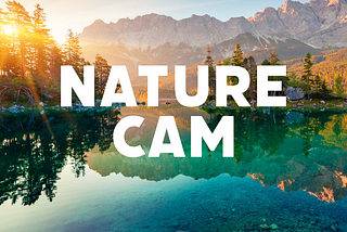 Introducing —  “Nature Cam” 🌎