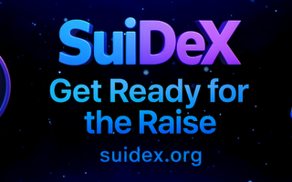 🔧 Getting Ready for the SuiDex Private Raise