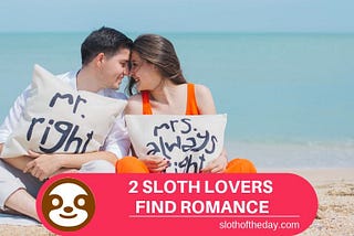 2 SLOTH LOVERS Find Romance Love Together