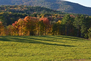 A Lofty Goal