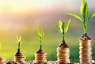 Sustainable Investing