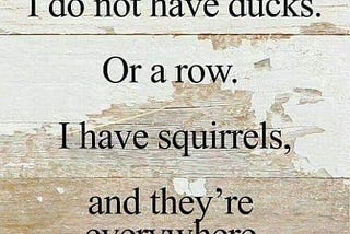 The Problem with Squirrels