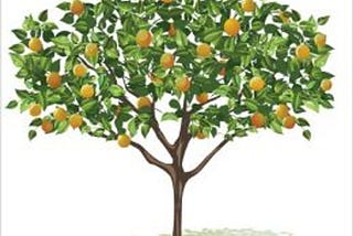 Growing and Maintaining Healthy Fruit Trees By Annette Lathion