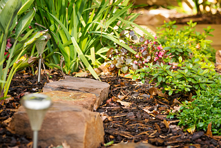 Sustainable landscaping tips that save time and money