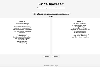 Can You Spot The AI-Generated Text?