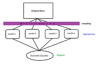 Bootstrap Aggregating and Random Forest Model