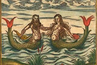 On Mermaids and MiGs