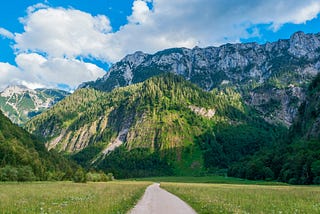 The Hitchhiker’s Guide to Optimization in Machine Learning