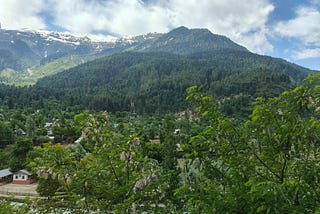 Golden Meadows of Sonmarg in Picturesque Kashmir