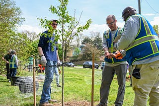 three people plant a tree on a sunny day.