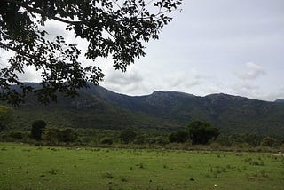 Climate Historians in the Nilgiris Biosphere Reserve