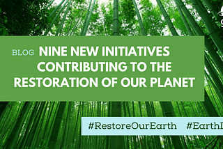 Nine new initiatives contributing to the restoration of our planet