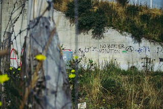 Photo of a deserted refugee camp in Calais, France. Graffiti on concrete walls, weeds and small yellow wildflowers growing in the foreground.