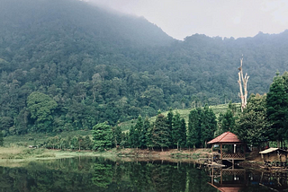 Terima Kasih Guru SD atas Makna Kompetisi