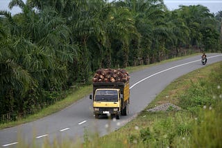 Menilai Biodiesel Kelapa Sawit Terlampau Besar