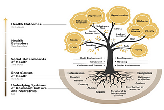 Going Past Social Determinants to Root Causes