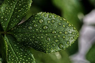 How to micro process?