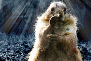 Groundhog Day —Is There Merit in the Myth?!