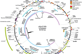 Unveiling the Mysteries of Antibiotic Resistance: Mobile Genetic Elements