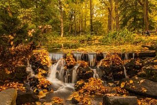 A forest stream gathers fall leaves in its waterfall over rocks.