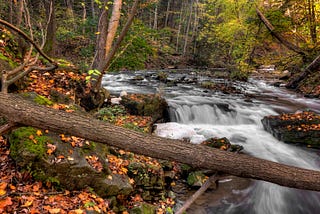 Happy Thanksgiving From The Cycle Water Team