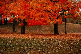 November Faire| Let’s Read