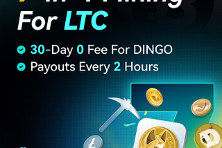 What is Dingocoin (DINGO)? How to Mine Dingocoin (DINGO)?