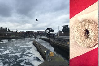 Cloudy with a chance