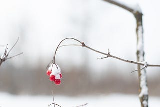 Black, Red and White Threads