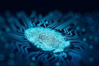 Enhancing Security: Exploring the Future of Biometric Authentication Systems!