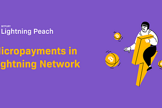Lightning Network Use Cases: Micropayments