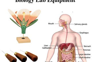 List of Basic Instruments used in Biology Lab