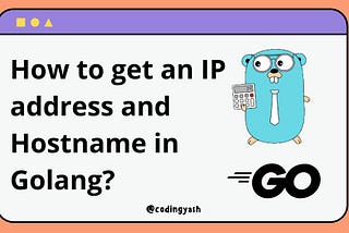 How to get IP and Hostname in Golang and Java